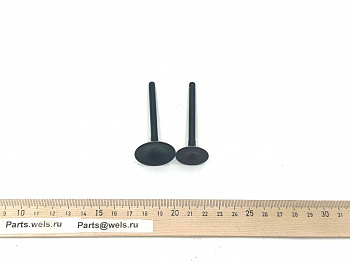 Клапаны (компл 2шт.) 153FMI 125см3 (d-23/28) (l-65/66) (WW0328)