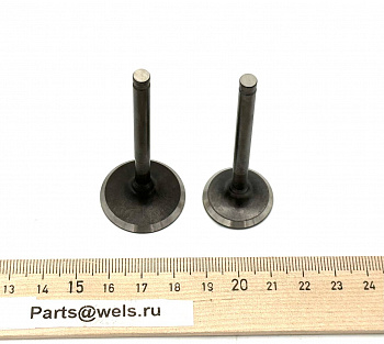 Клапаны впуск.+выпуск., ATV150 (111883/111884) (WW0177)