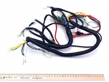 Жгут электропроводки (коса), ATV200 THUNDER (102860B) (WW0232)